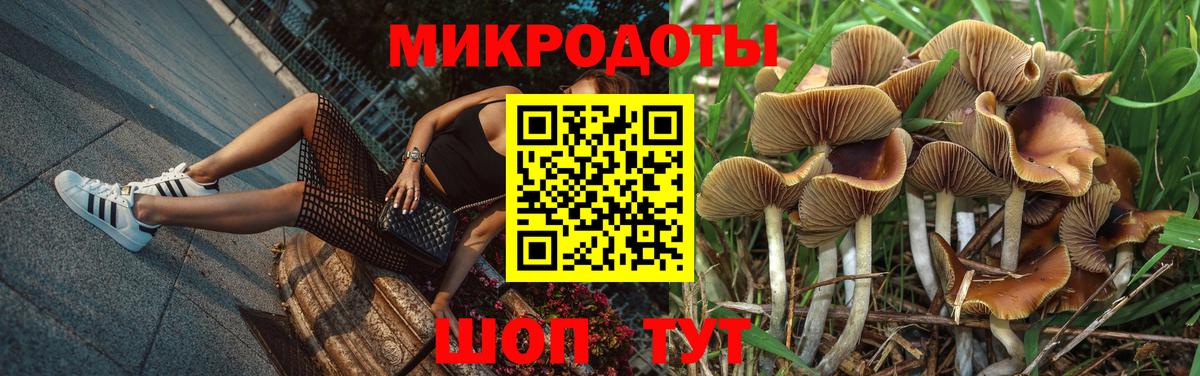 Псилоцибиновые грибы Magic Shrooms  Вход с VPN  Алапаевск 