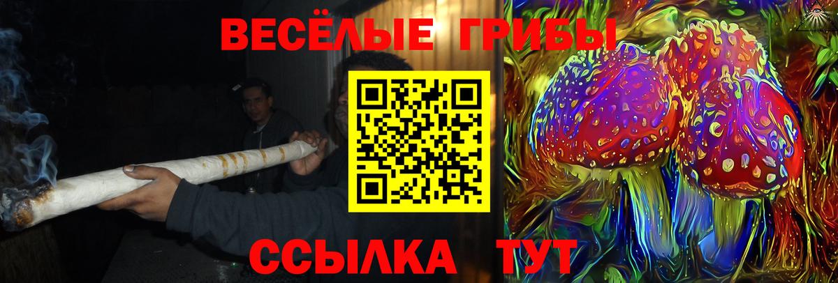 Галлюциногенные грибы Magic Shrooms Алапаевск
